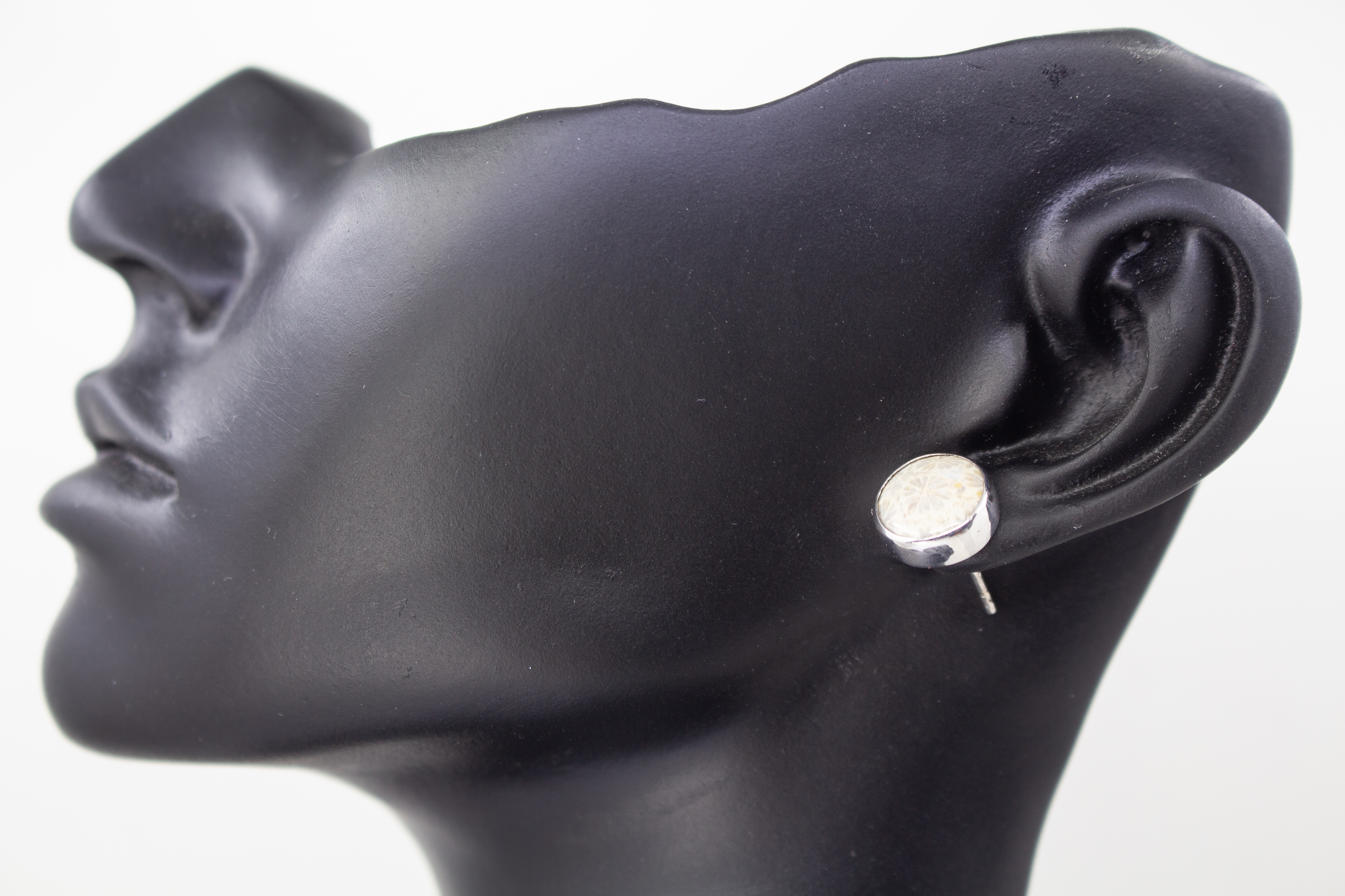 Ein Paar runde Damen-Ohrstecker aus poliertem 925er Sterling Silber, besetzt mit runden fossilen Korallen-Cabochons, die eine feine, beige-graue sternförmige Naturmusterung aufweisen, arrangiert neben einem hellen Rohstein