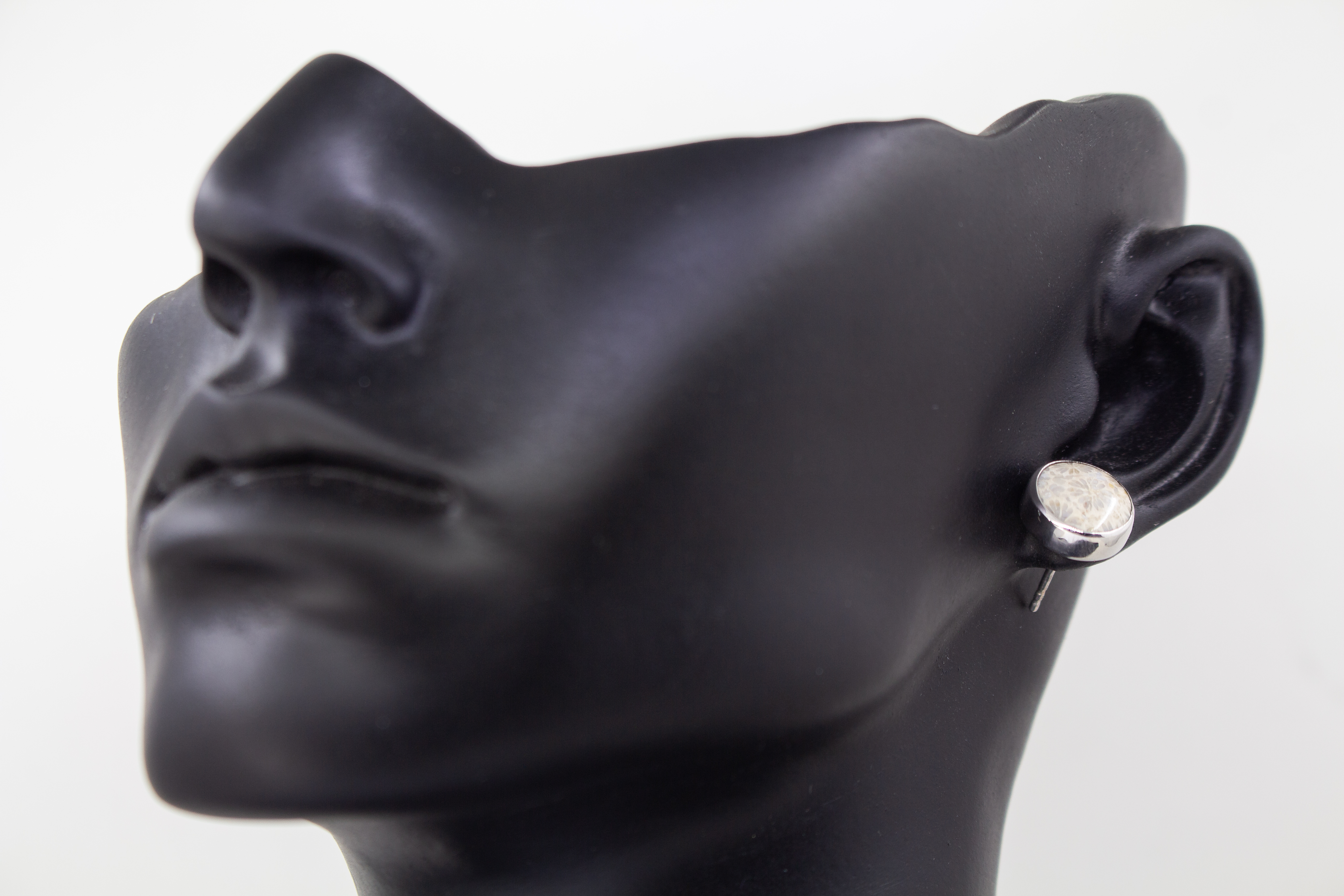 Ein Paar runde Damen-Ohrstecker aus poliertem 925er Sterling Silber, besetzt mit runden fossilen Korallen-Cabochons, die eine feine, beige-graue sternförmige Naturmusterung aufweisen, arrangiert neben einem hellen Rohstein