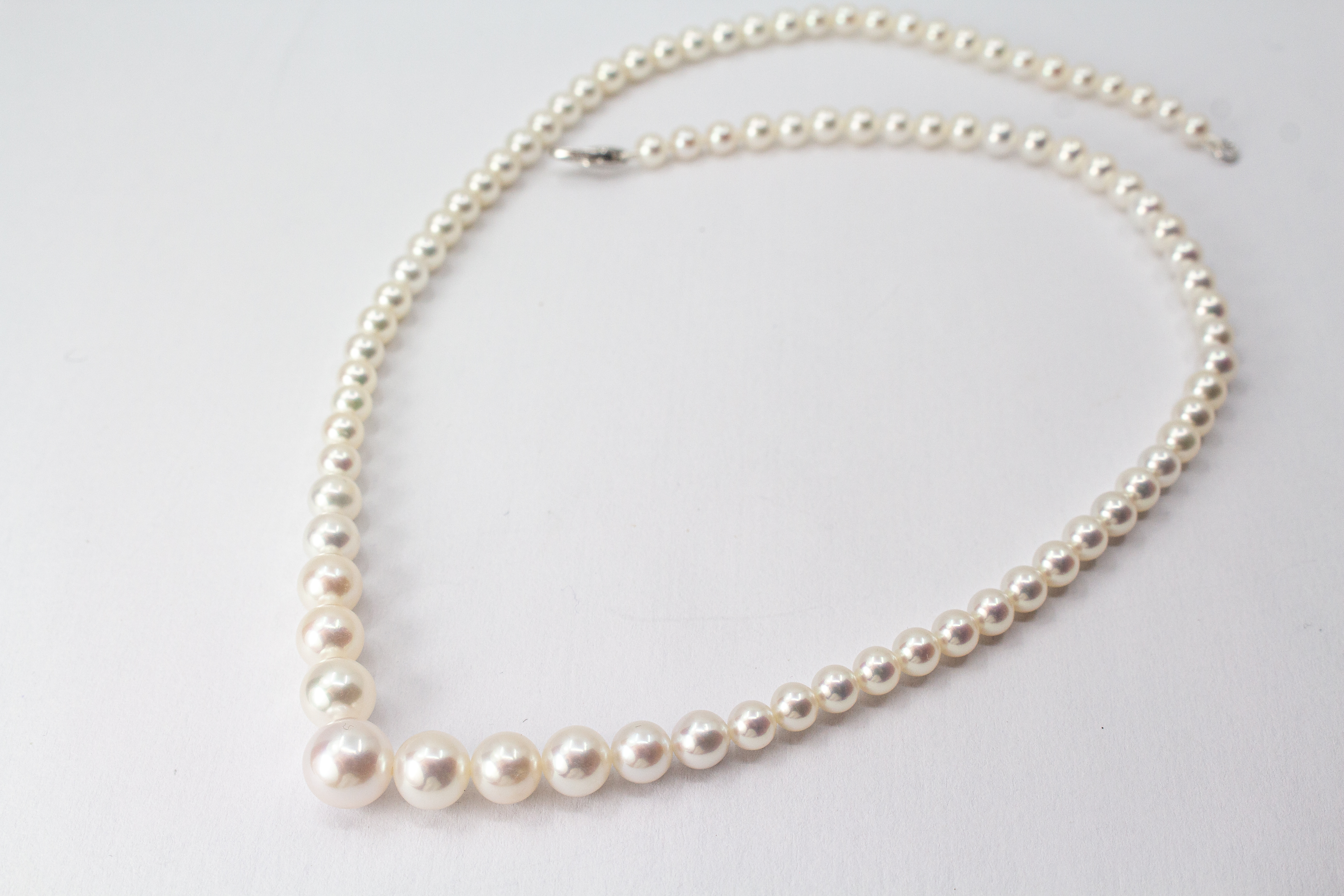 Eine klassische Süßwasserzuchtperlenkette von der Goldschmiede Regina Kraus, elegant geschwungen auf weißem Hintergrund ausgelegt. Die runden Perlen weisen einen zarten, cremeweißen Lüster auf und sind im harmonischen Verlauf angeordnet, wobei die größte